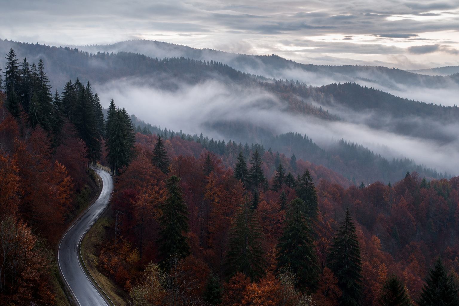 Herbstlicher Schwarzwald im Nebel mit silbrigen Flusstälern